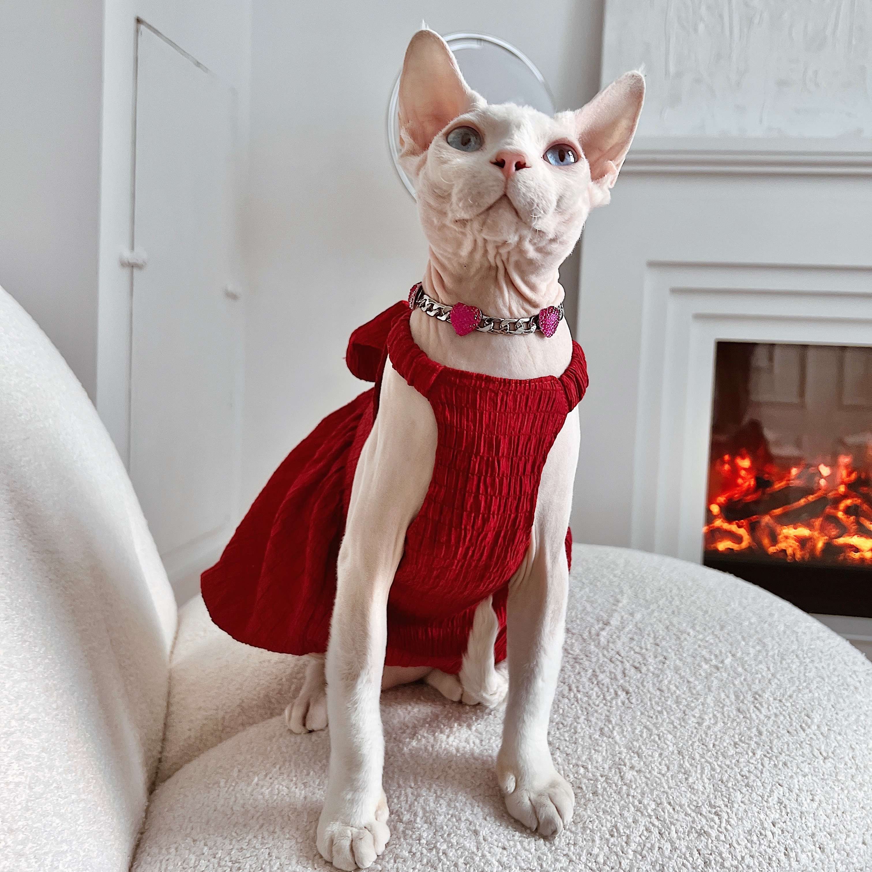 猫服  スフィンクス | スフィンクスの優雅な赤いドレス