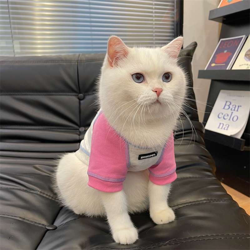 猫服  洋服 | ペット用おしゃれカジュアルウェア3点セット