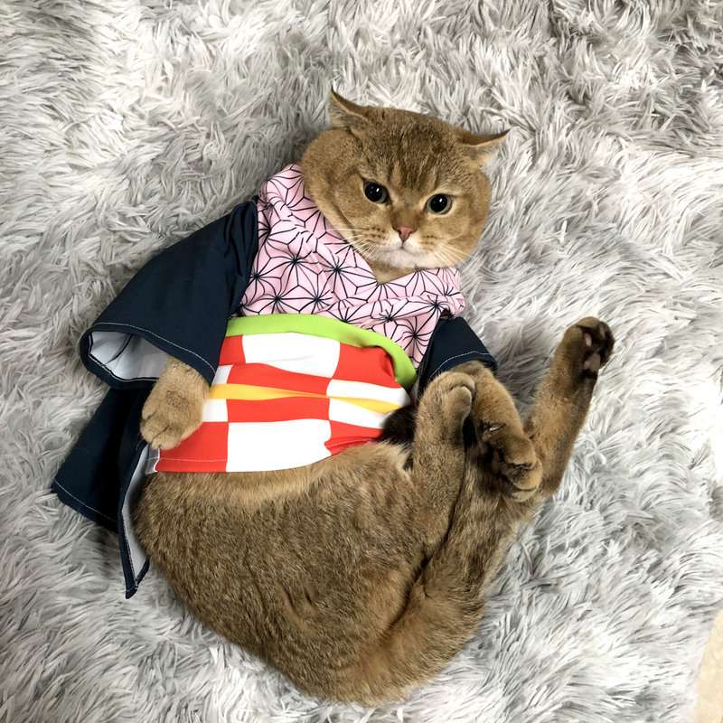 猫服  コスプレ | 鬼滅の刃風デザインの