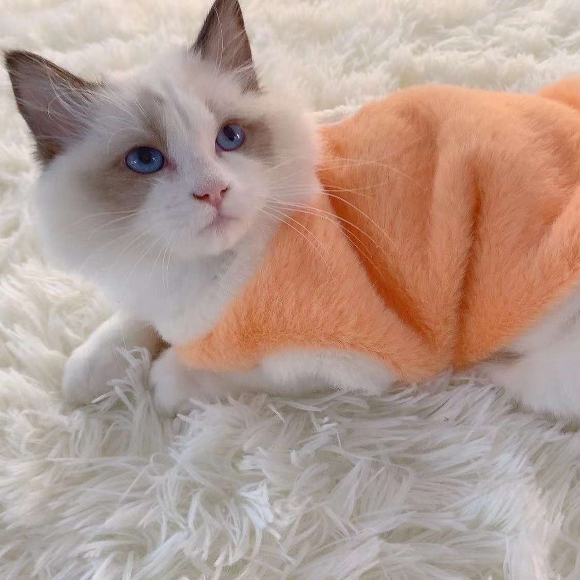 猫服  防寒服 | モフモフ天使のおくるみワンピース