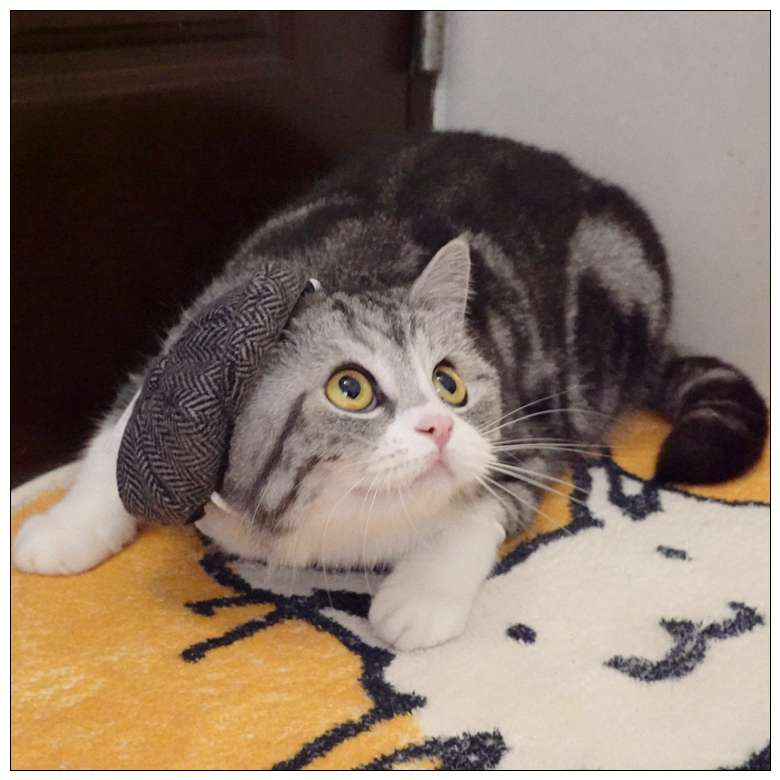 猫服  コスプレ | ビジネス猫のネクタイと帽子セット