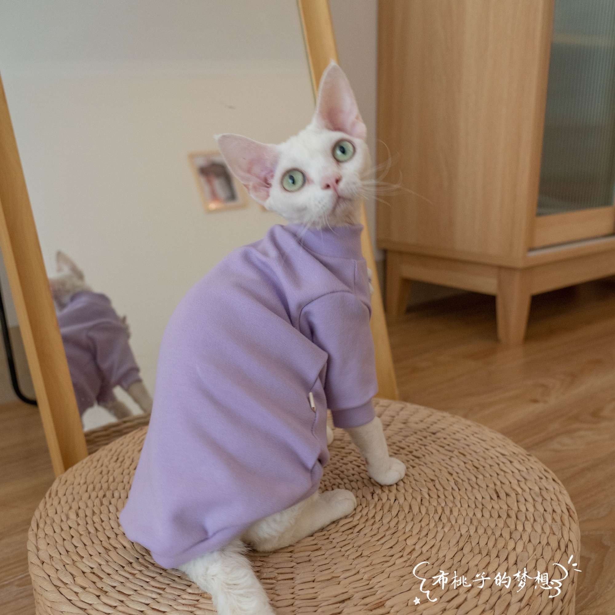 猫服  防寒服 | もこもこウサギの夢パーカー