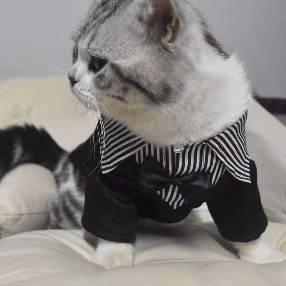 猫服  洋服 | 紳士風ネコ用タキシード