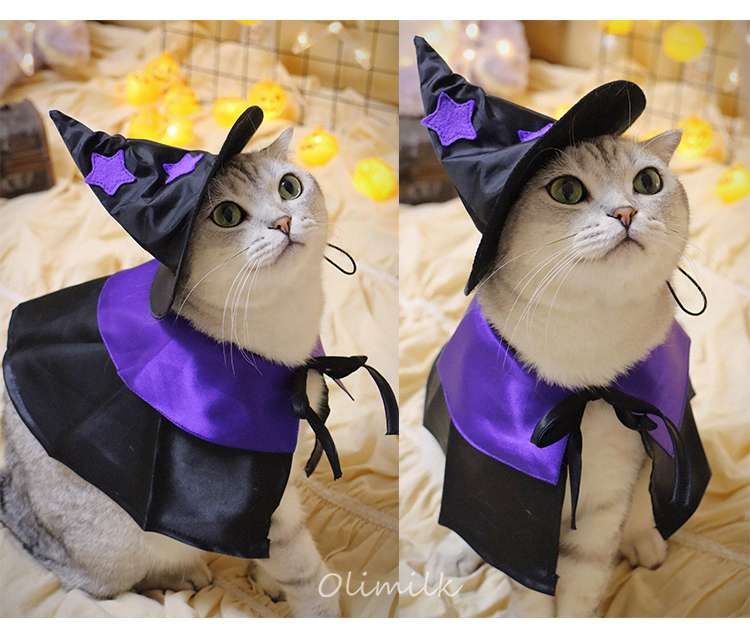 猫服  コスプレ | ハロウィン魔法使い猫コスチュームセット