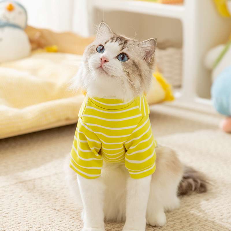 猫服  洋服 | もこもこ耳付きキャラクター