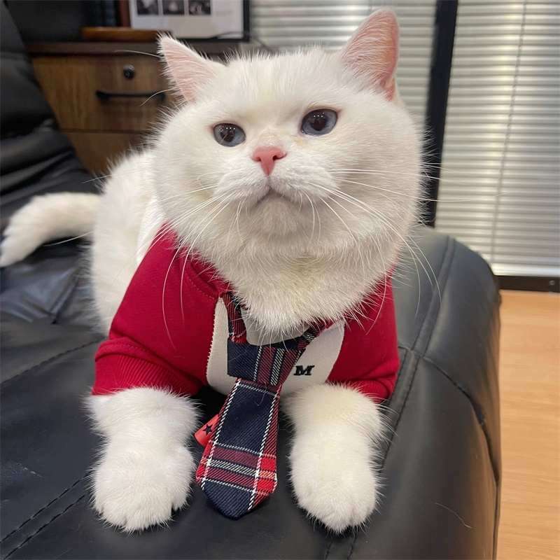 猫服  コスプレ | ネクタイ付きビジネス猫用スーツ