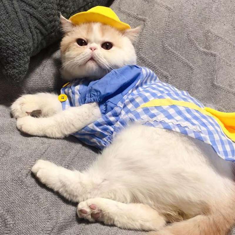 猫服  洋服 | 猫用チェック柄オーバーオール