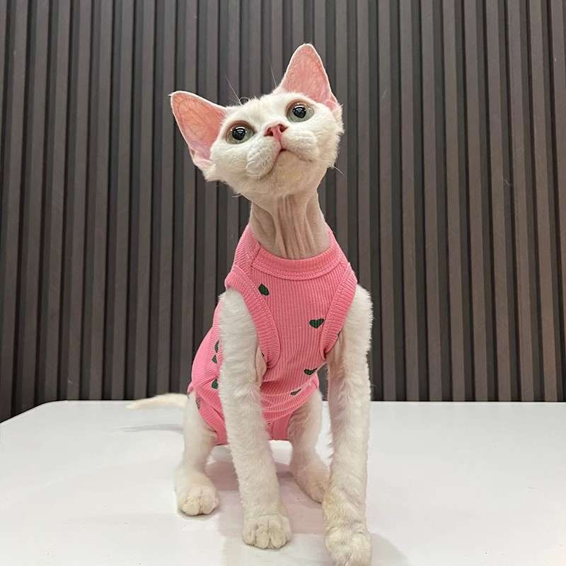 猫服  防寒服 | もふもふハート猫ちゃんウェア