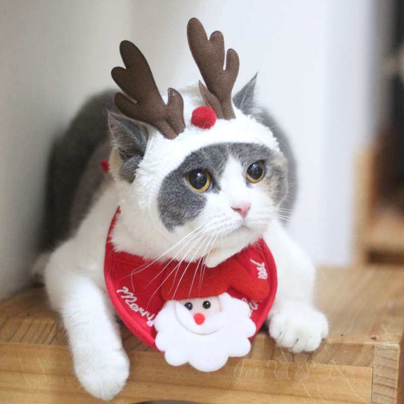 猫服  コスプレ | クリスマス猫コスチュームセット