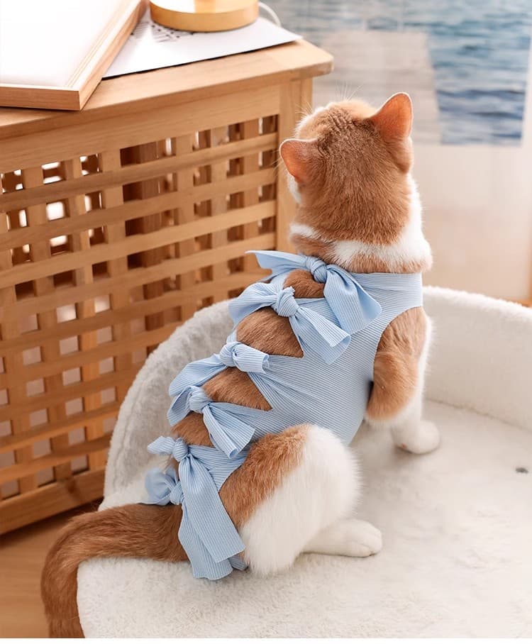 猫服  やさしいリボン結び術後服