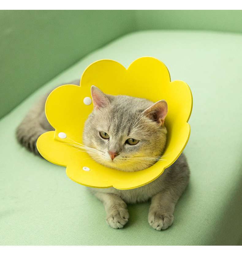 猫服 猫 エリザベスカラー | 花びら型ペット保護具