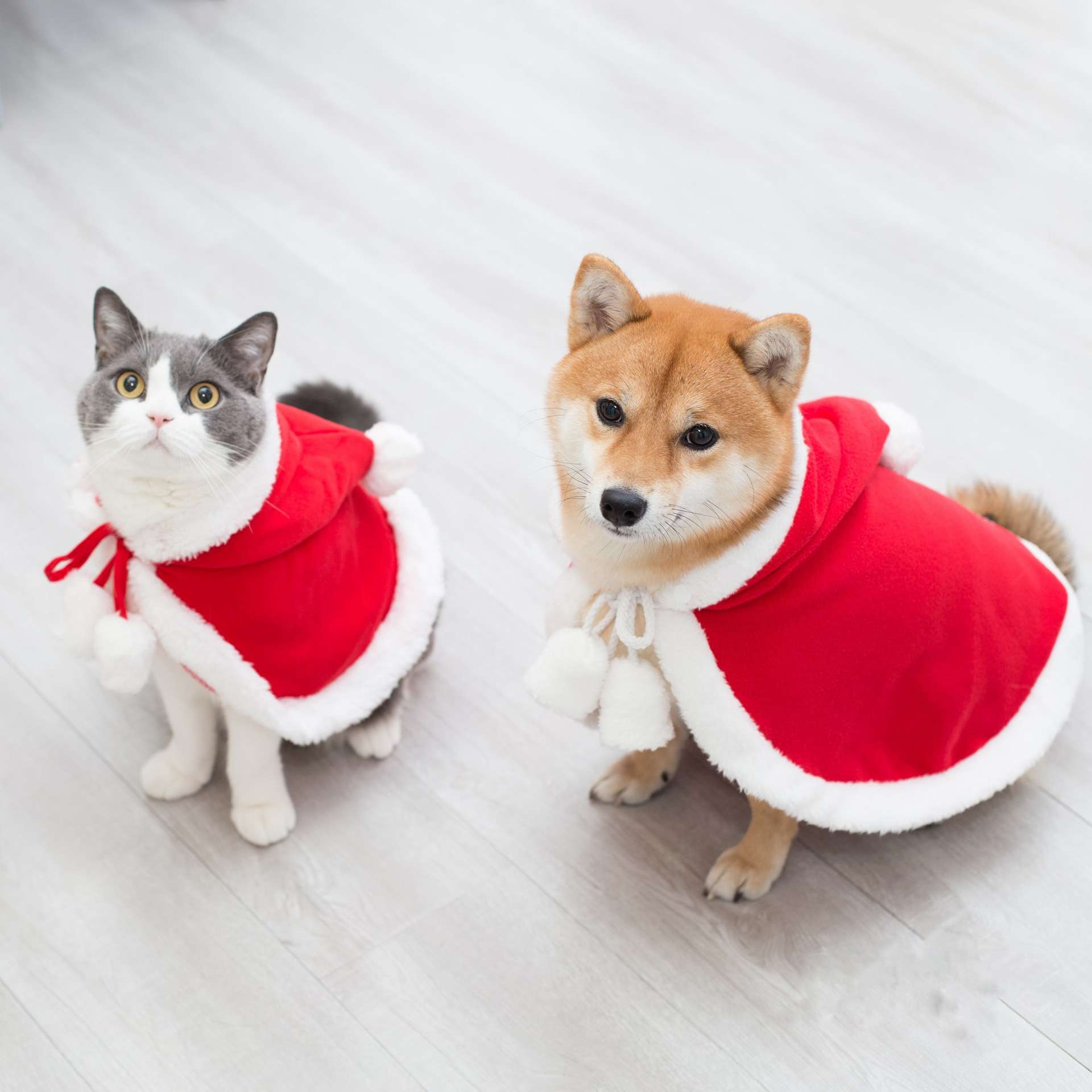 猫服  コスプレ | ペット用サンタクロース風マント