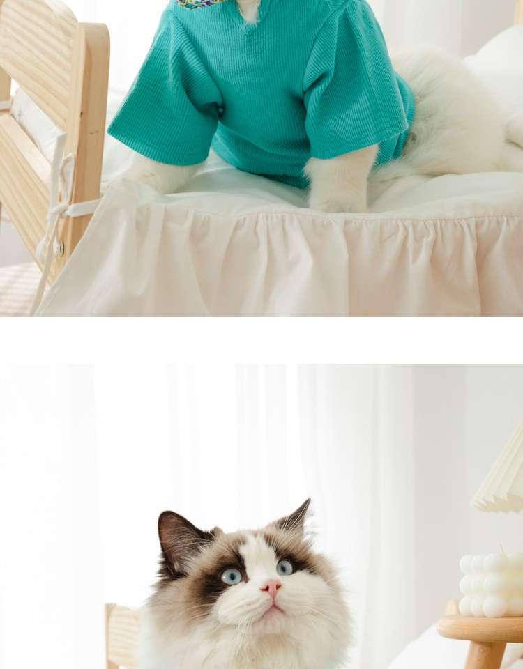 猫服  洋服 | ふわもこ猫ちゃんの季節のお洒落トップス