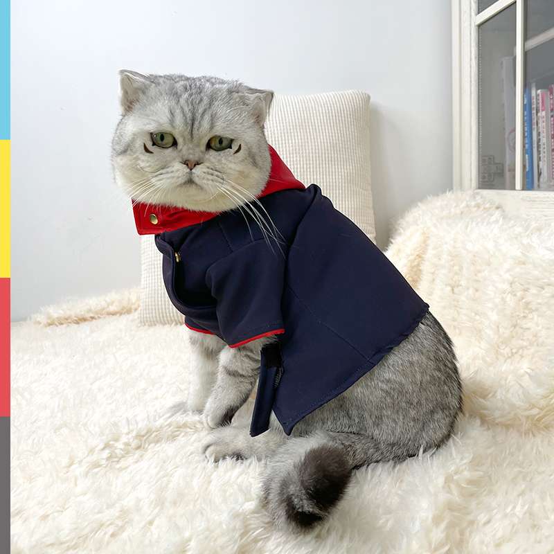 猫服  コスプレ | 愛猫のための海軍風制服コスプレ
