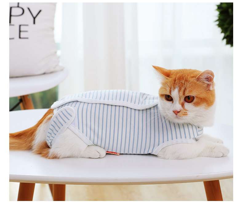 猫服  術後服 | 猫用ストライプ柄術後服快適ウェア