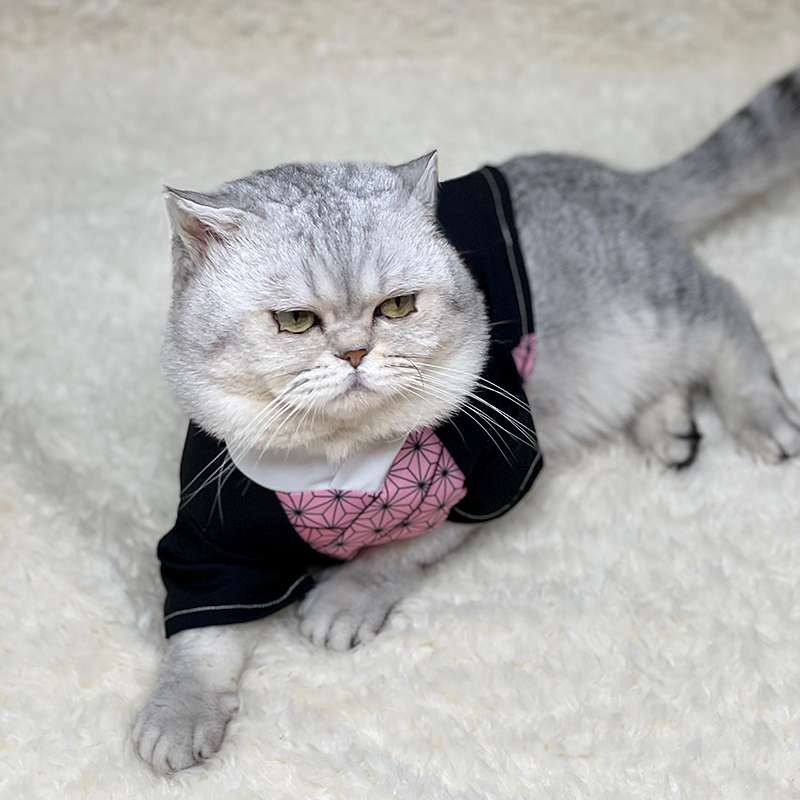 猫服  コスプレ | 忍者猫変身セット 〜和風モダンスタイル〜