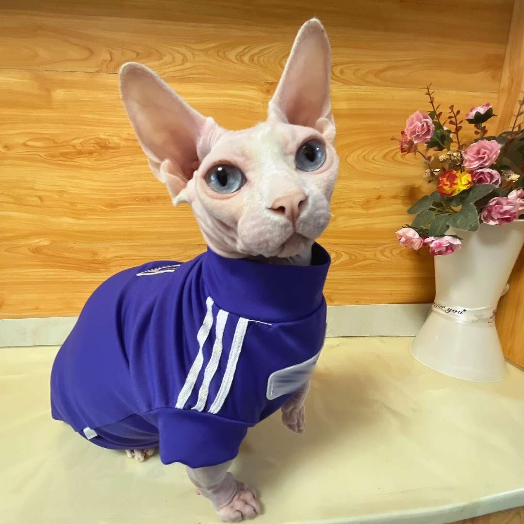 猫服  洋服 | スポーティーキャットウェア