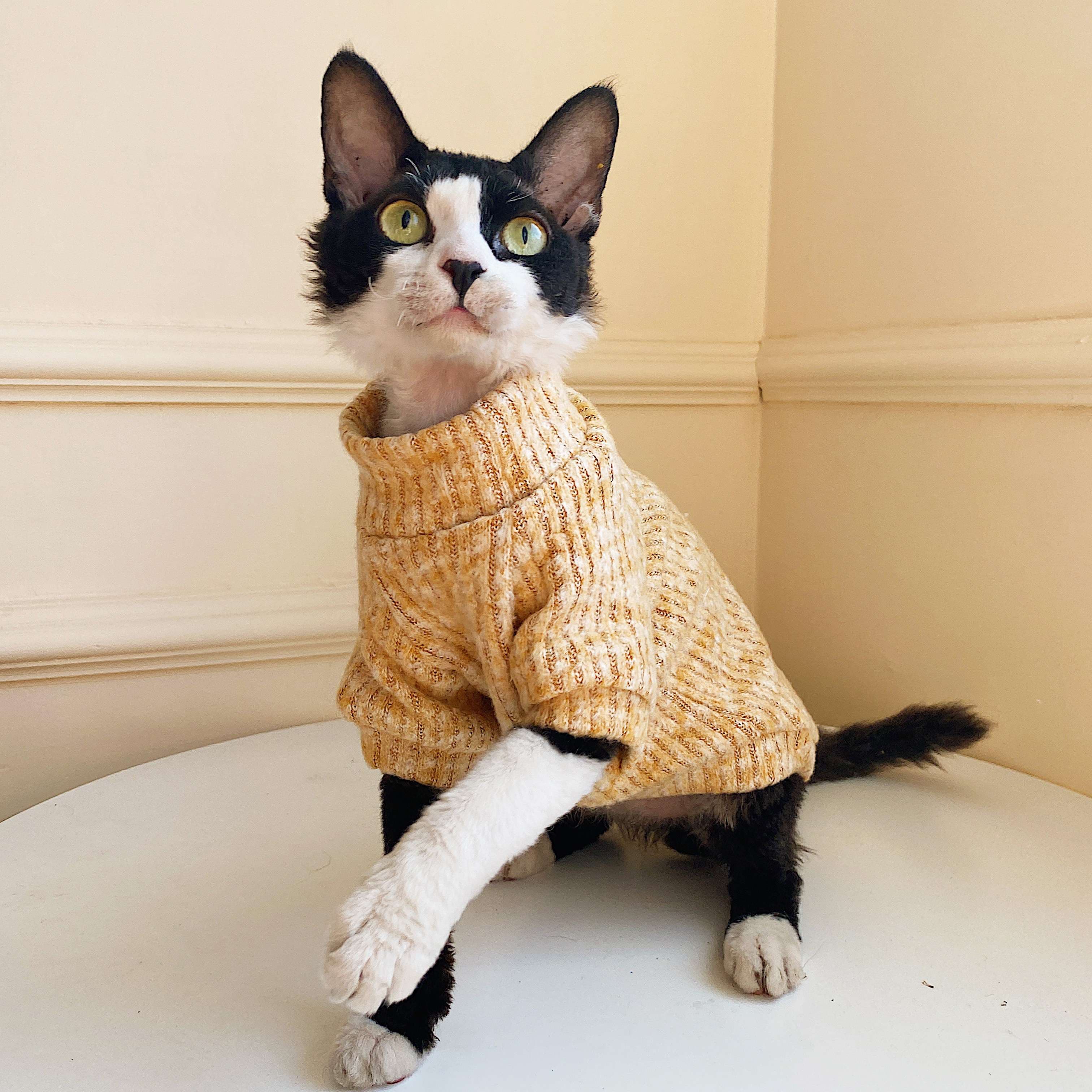 猫服  スフィンクス | スフィンキャットのニットセーター