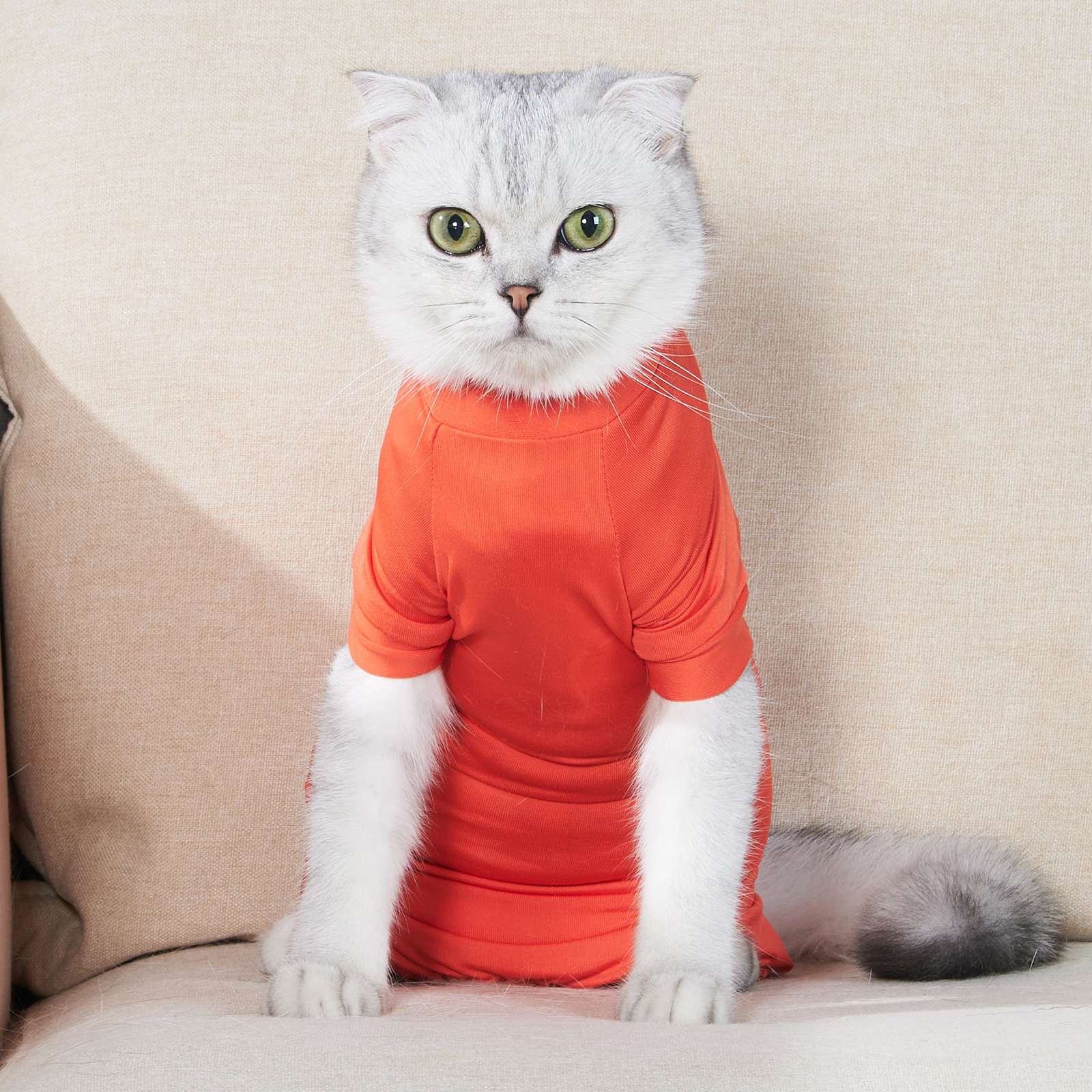 猫服  術後服 | ふわもこ猫ちゃん術後ウェア