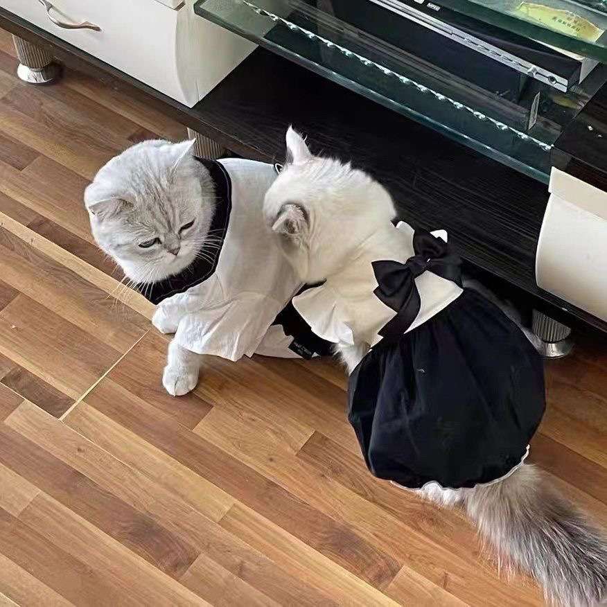 猫服  コスプレ | 執事風メイド服キャットウェア