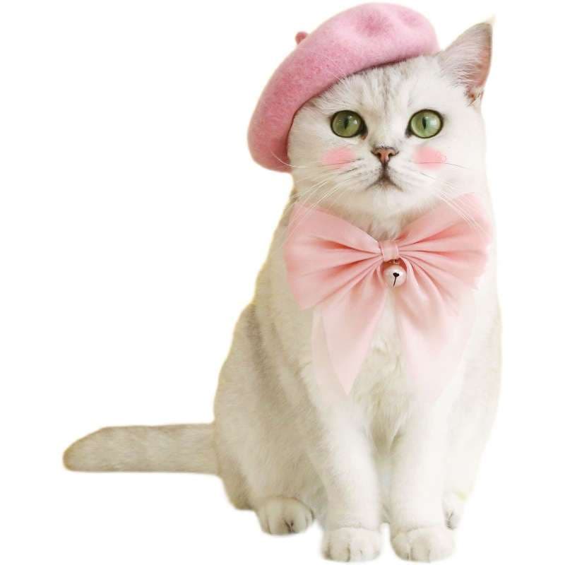 猫服  帽子 | ふわふわ猫用ベレー帽＆リボン首輪