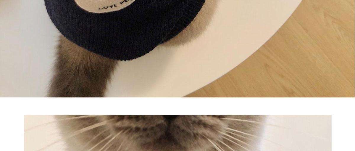猫服 小熊刺繍入りふわもこ袖口あったか猫用編み上着
