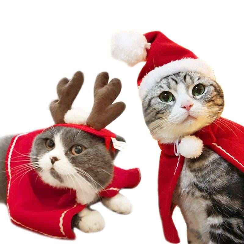 猫服  コスプレ | ねこ用クリスマス変身セット