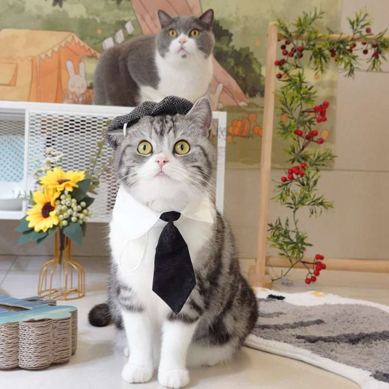 猫服  コスプレ | ビジネス猫のネクタイと帽子セット