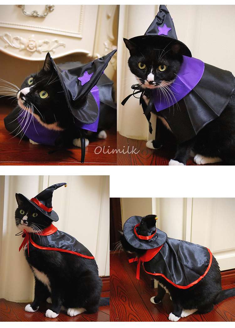 猫服  コスプレ | ハロウィン魔法使い猫コスチュームセット