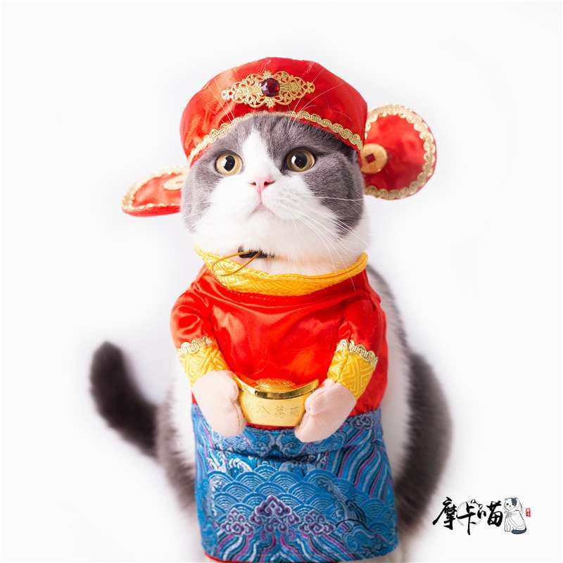 猫服  コスプレ | 福招き猫様の豪華絢爛着物セット