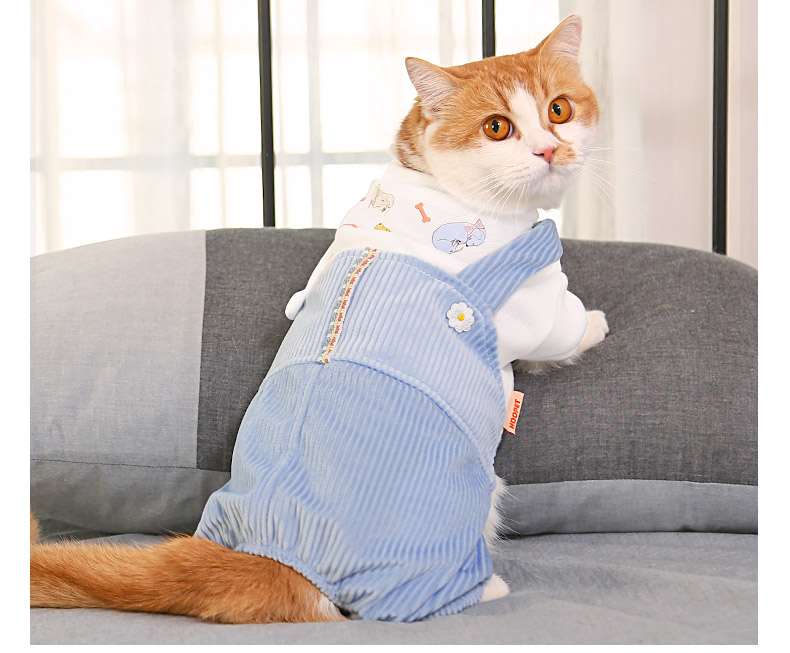 猫服  コスプレ | ミツバチ風ペット用コスチューム