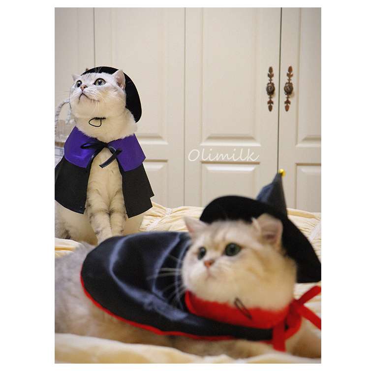 猫服  コスプレ | ハロウィン魔法使い猫コスチュームセット