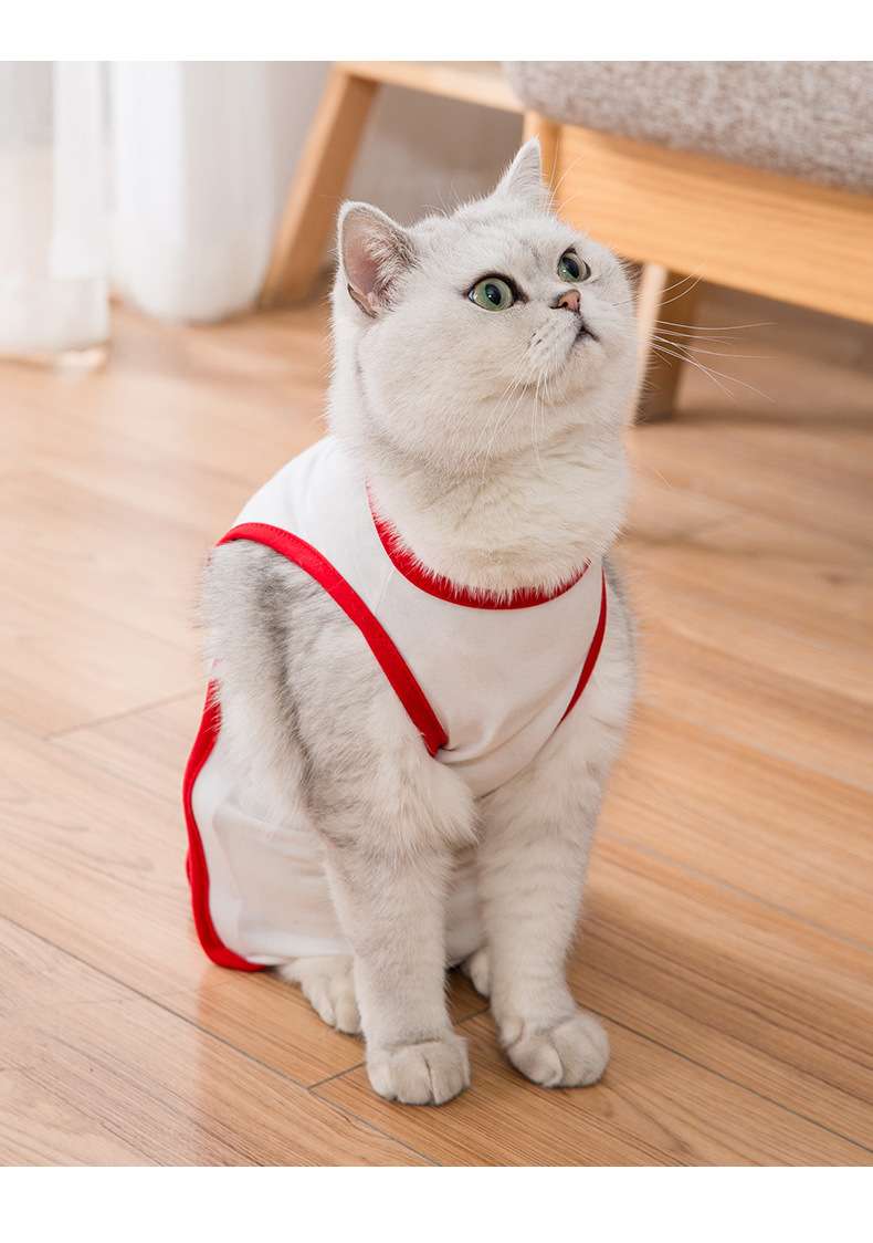 猫服  術後服 | プリンセス柄の猫用術後服