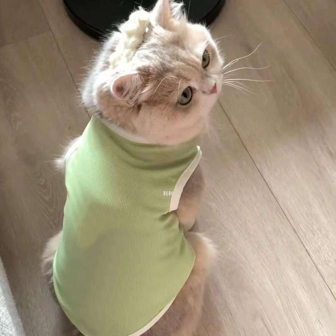 猫服  洋服 | もこもこ猫ちゃん用タンクトップ