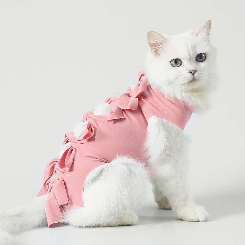 猫服  術後服 | モフモフ猫ちゃんの可愛いリボン術後服