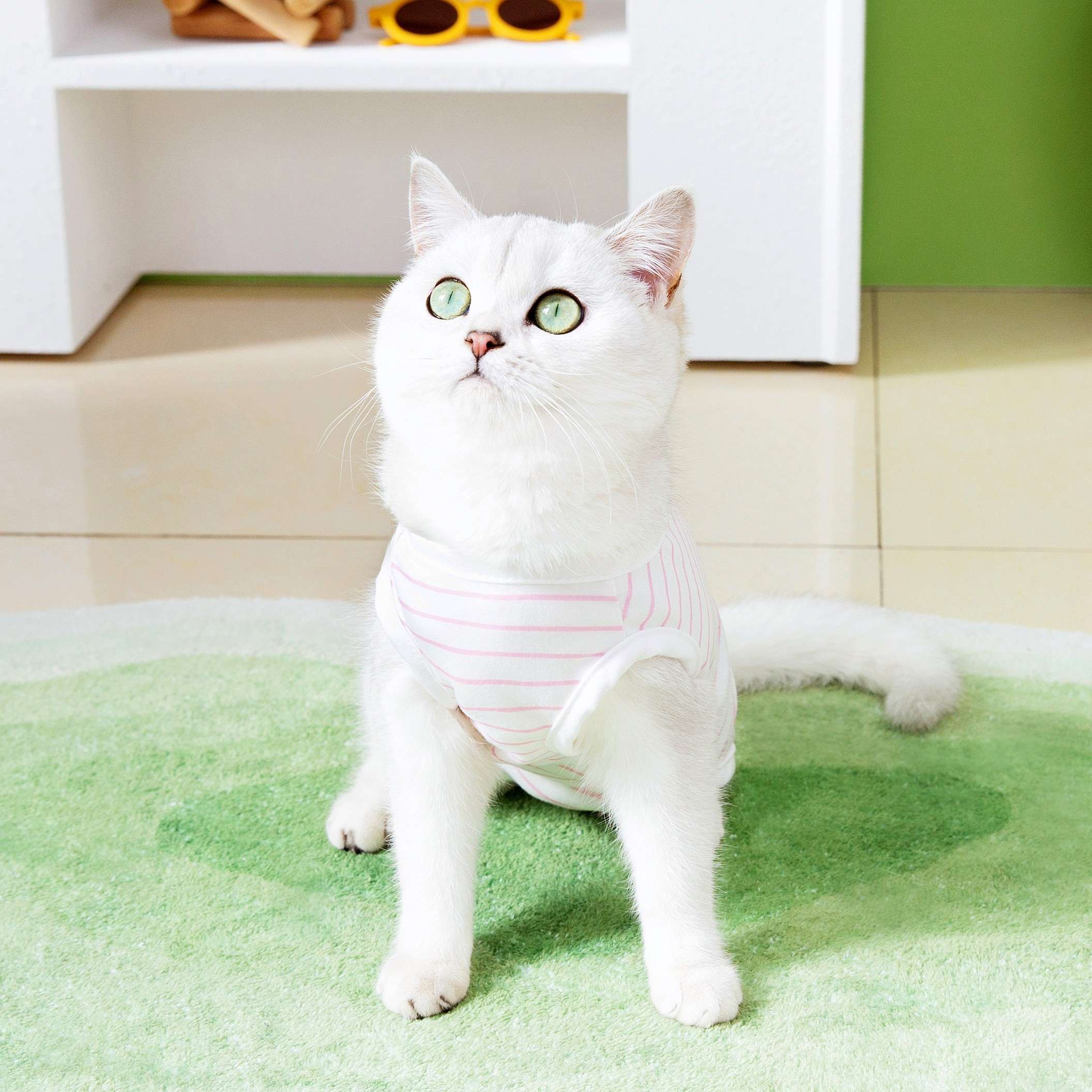 猫服  術後服 | もふもふ猫ちゃんの優しい術後ウェア