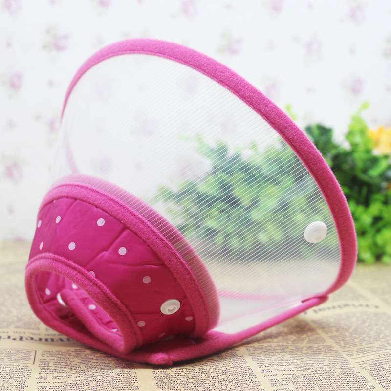 猫服 猫 エリザベスカラー | ペットの健康守護具