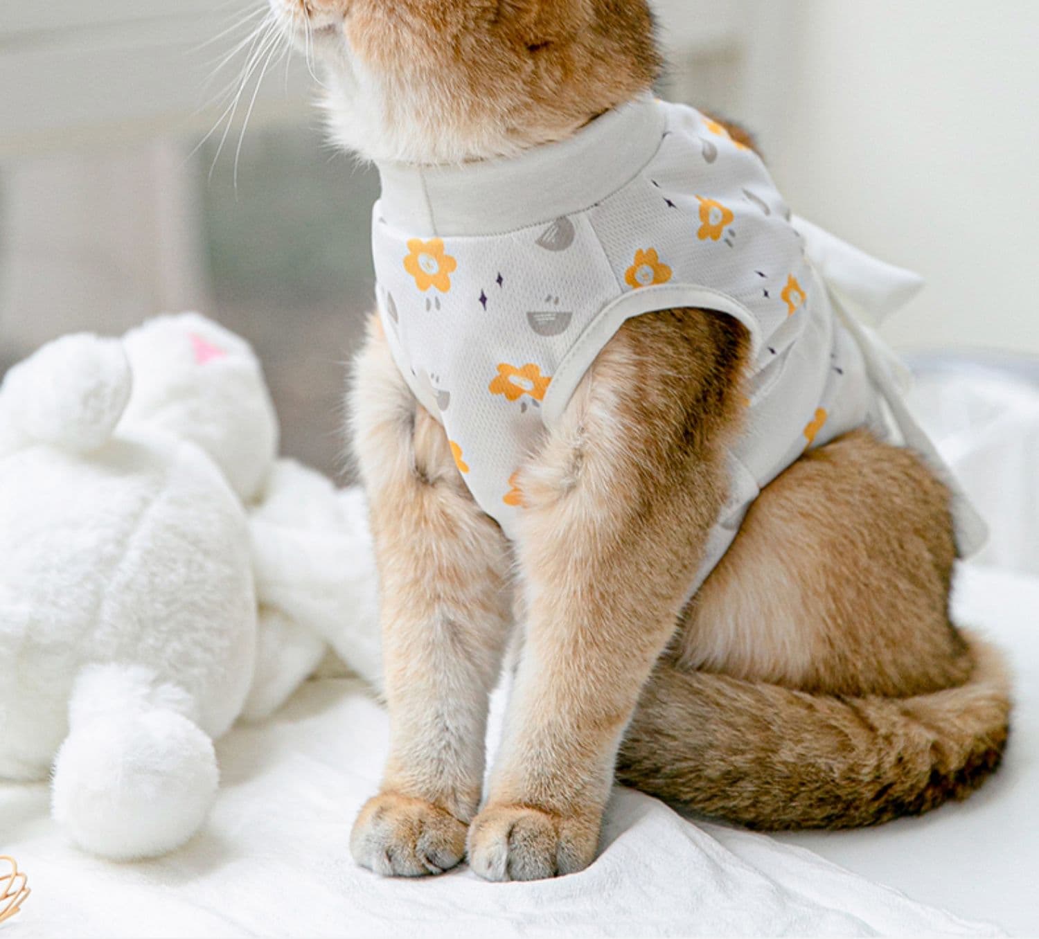 猫服  やさしい花柄の回復ウェア