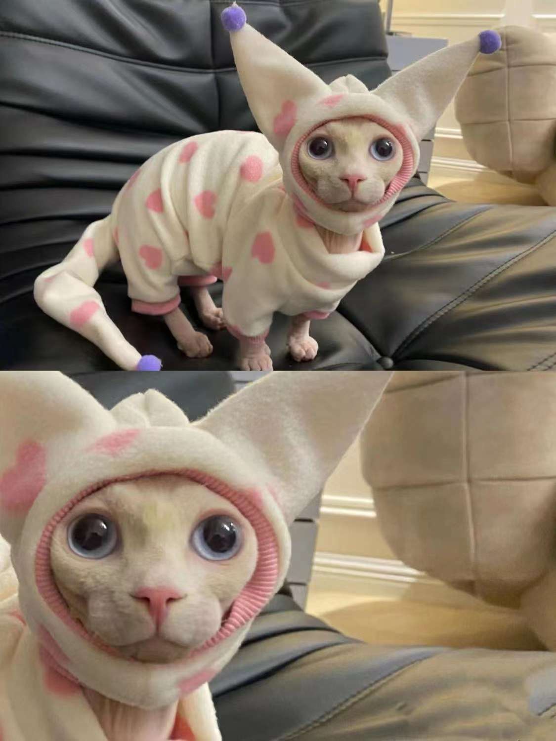 猫服  防寒服 | もふもふ耳付き猫ちゃん用ロンパース