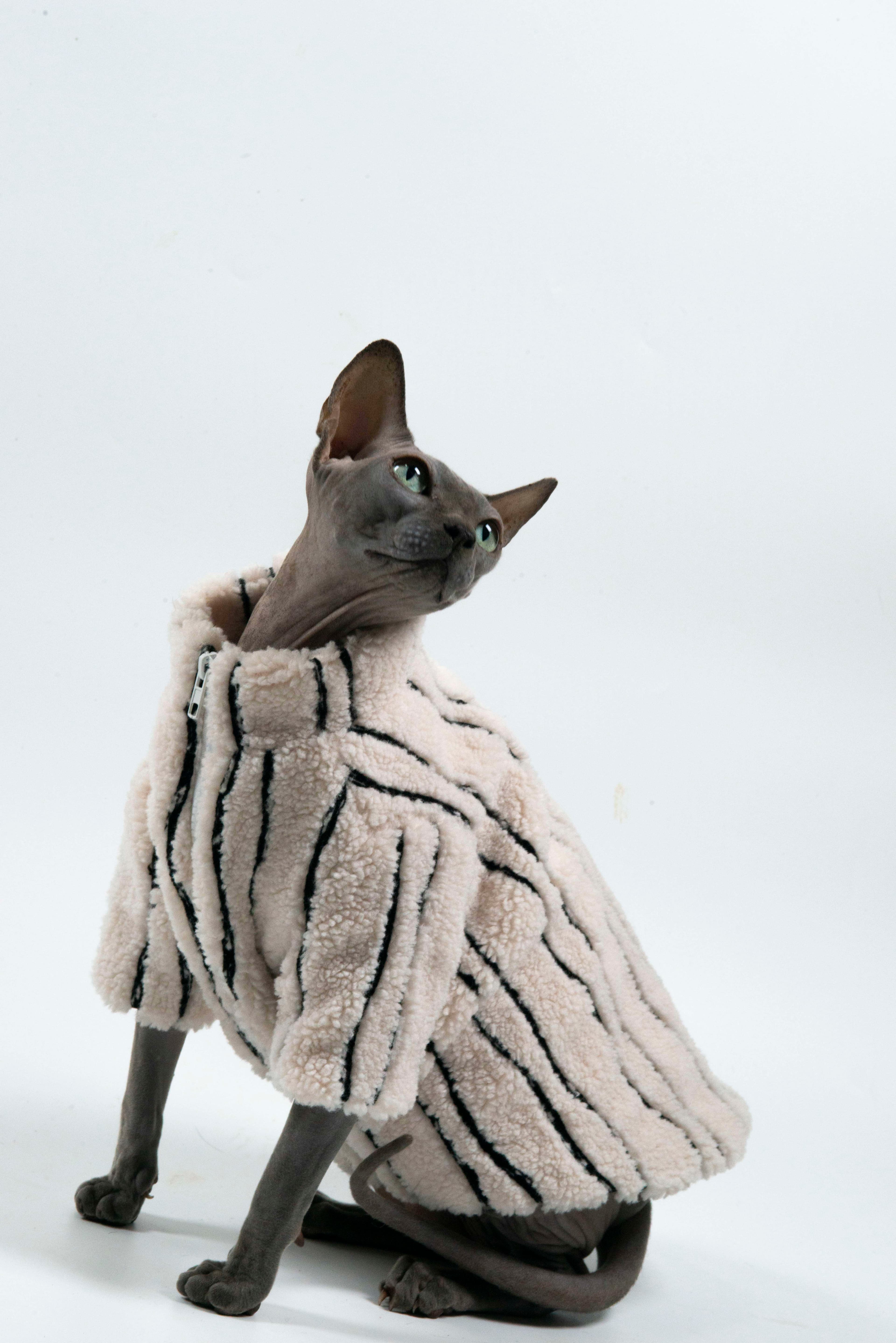 猫服  スフィンクス | スフィンクスの防寒ファーコート