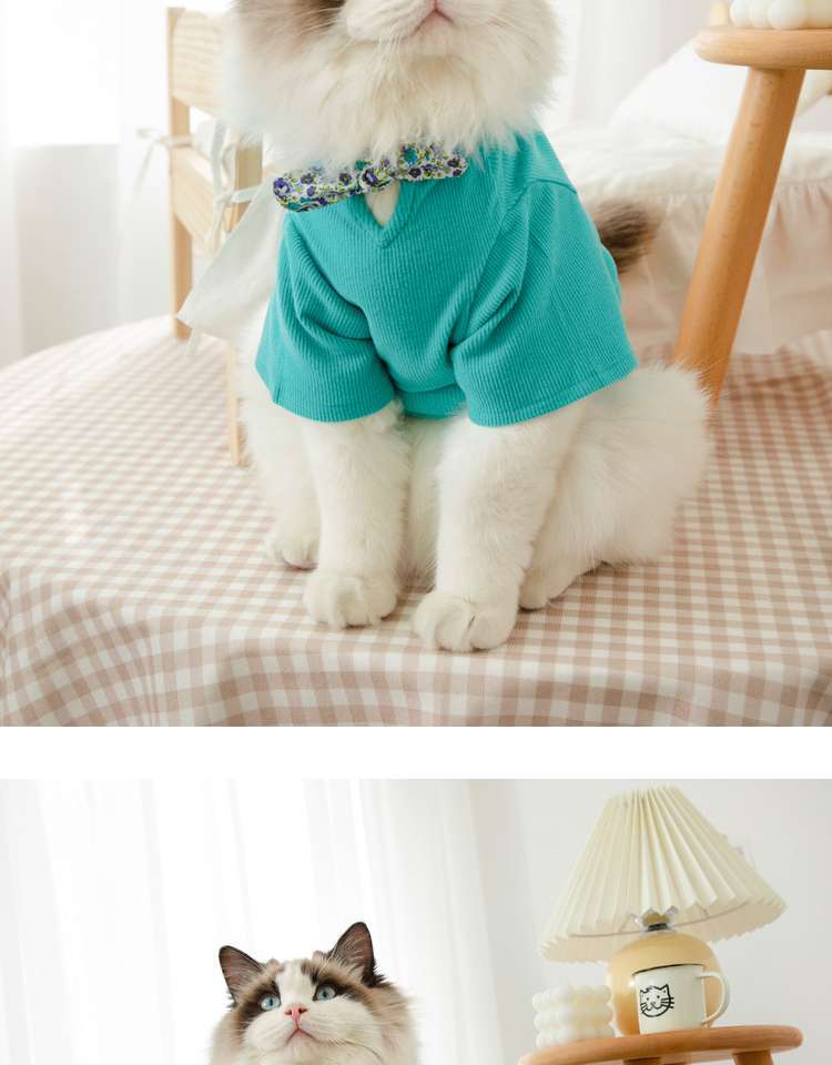 猫服  洋服 | ふわもこ猫ちゃんの季節のお洒落トップス