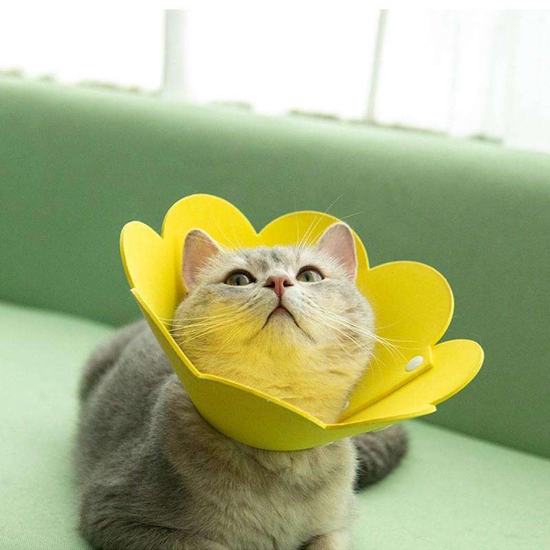 猫服 猫 エリザベスカラー | 花咲く猫のエリザベスカラー