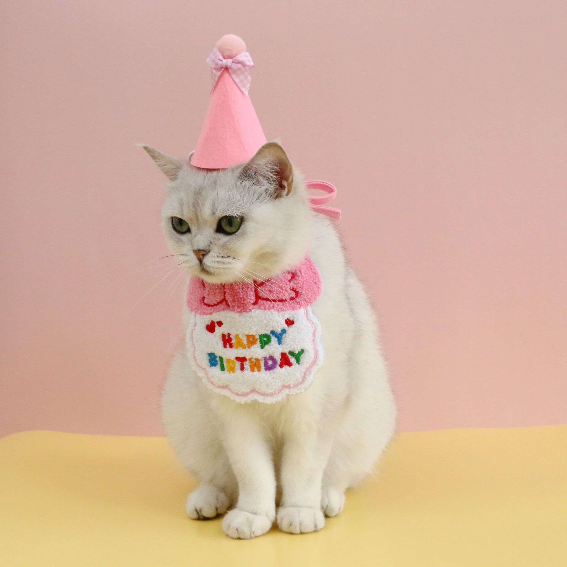 猫服  コスプレ | お誕生日お祝い猫用よだれかけ＆パーティーハット