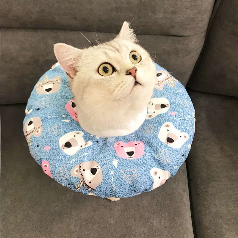 猫服 猫 エリザベスカラー | 猫用かわいいイラスト柄エリザベスカラー
