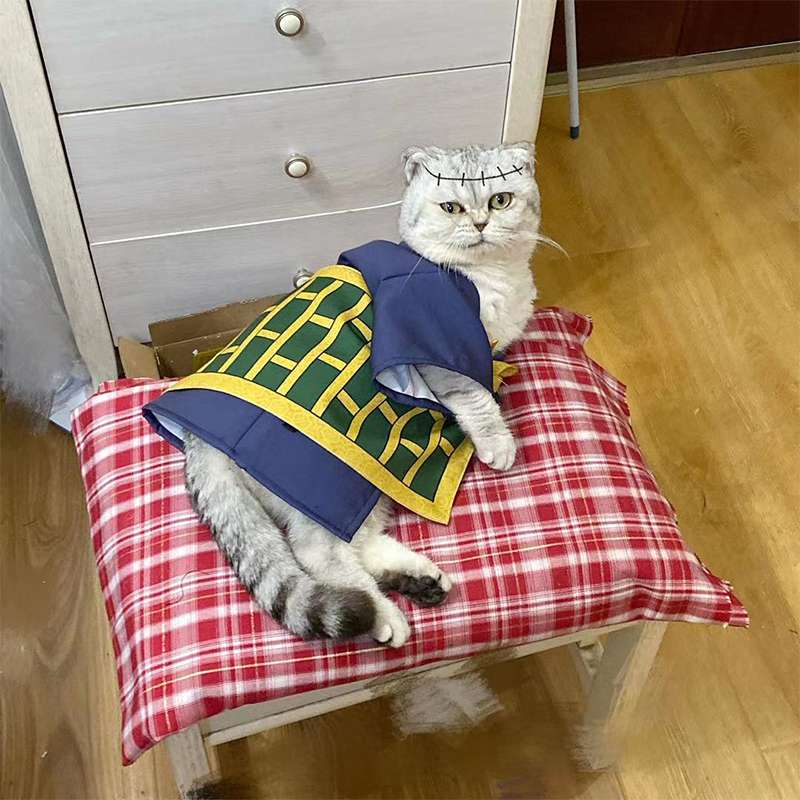 猫服  コスプレ | おしゃれな和風のコスプレ！侍スタイルに大変身！