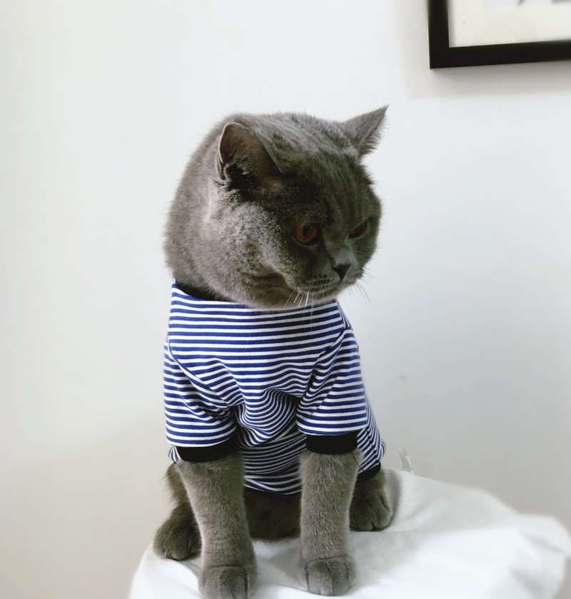 猫服 猫用マリン風ボーダー長袖シャツ