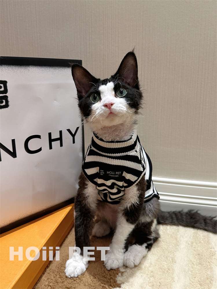 猫服  洋服 | モダンボーダー柄キャットウェア
