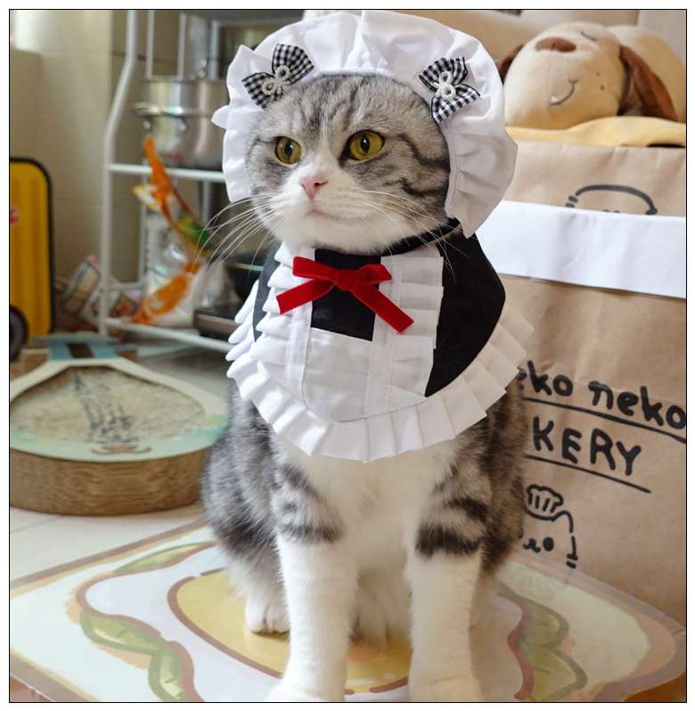 猫服  コスプレ | メイド風フリルエプロン猫用コスチューム