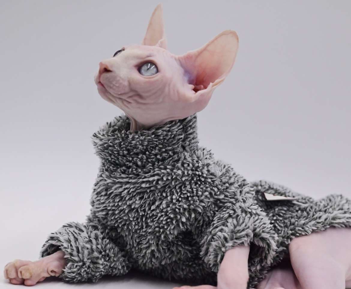 猫服  スフィンクス | ウィンターウォーム スフィンクスキャットウェア