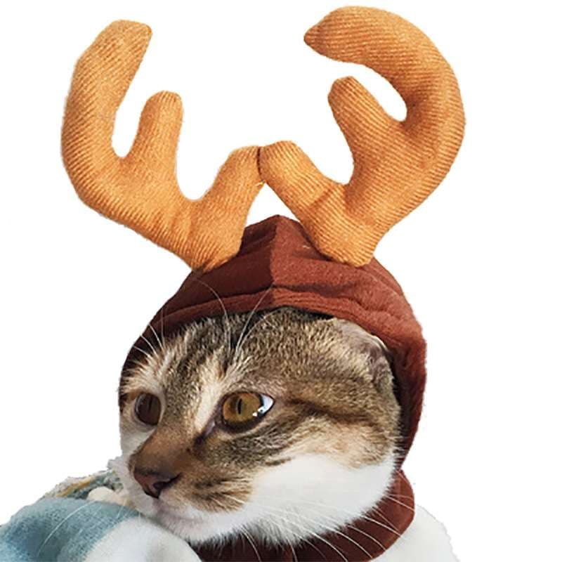 猫服  コスプレ | ねこちゃんのクリスマスコスプレ3点セット